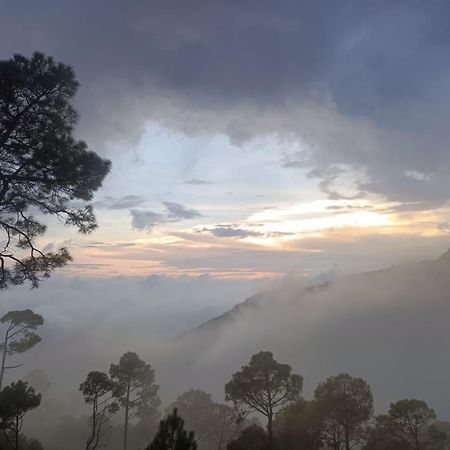 The Western Heights I Serviced Apartments I Pvt Balcony I Lift I Peacefull Area I Family Accomodation I Kasauli I By Exotic Stays Extérieur photo