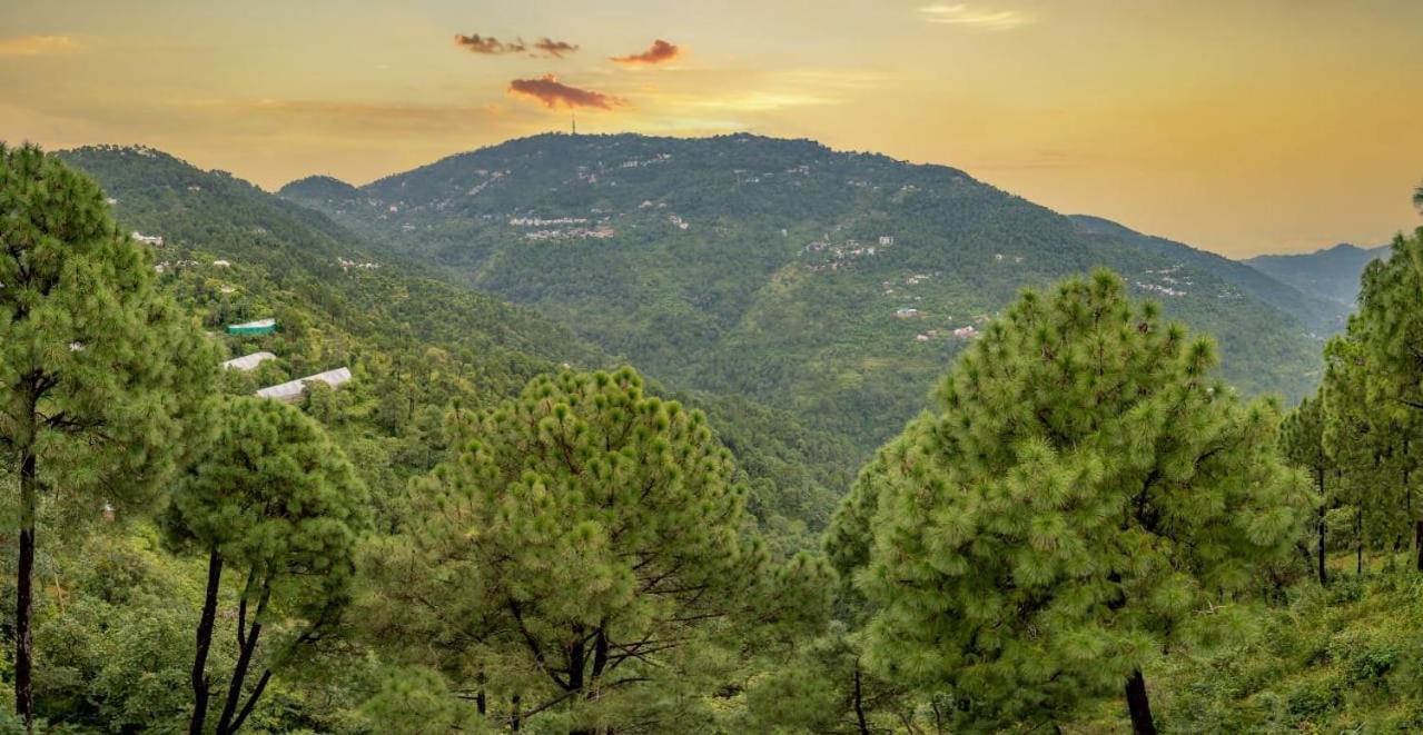 The Western Heights I Serviced Apartments I Pvt Balcony I Lift I Peacefull Area I Family Accomodation I Kasauli I By Exotic Stays Extérieur photo