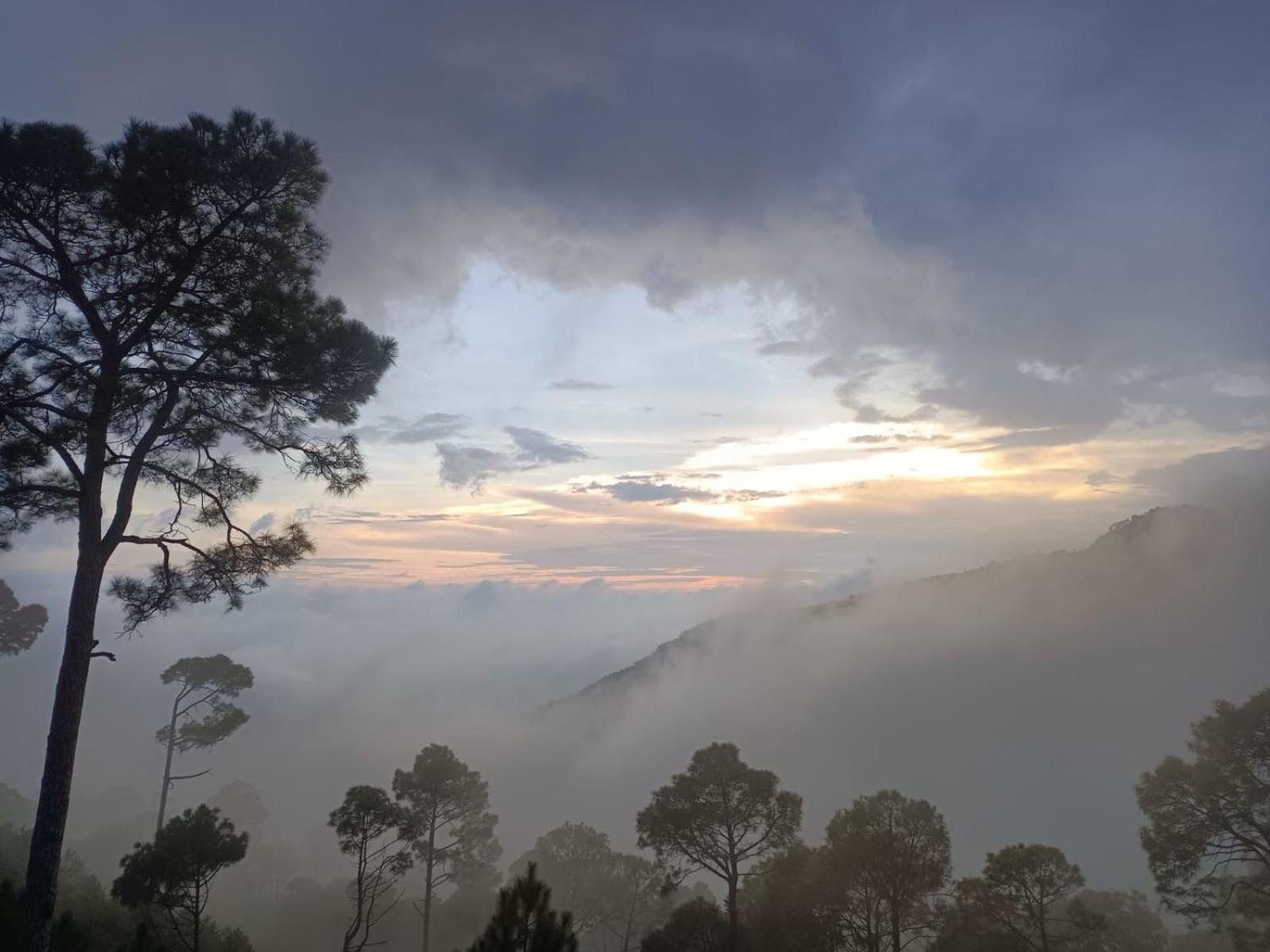 The Western Heights I Serviced Apartments I Pvt Balcony I Lift I Peacefull Area I Family Accomodation I Kasauli I By Exotic Stays Extérieur photo